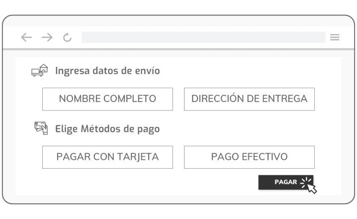 Paso 4: Datos de envío y pago