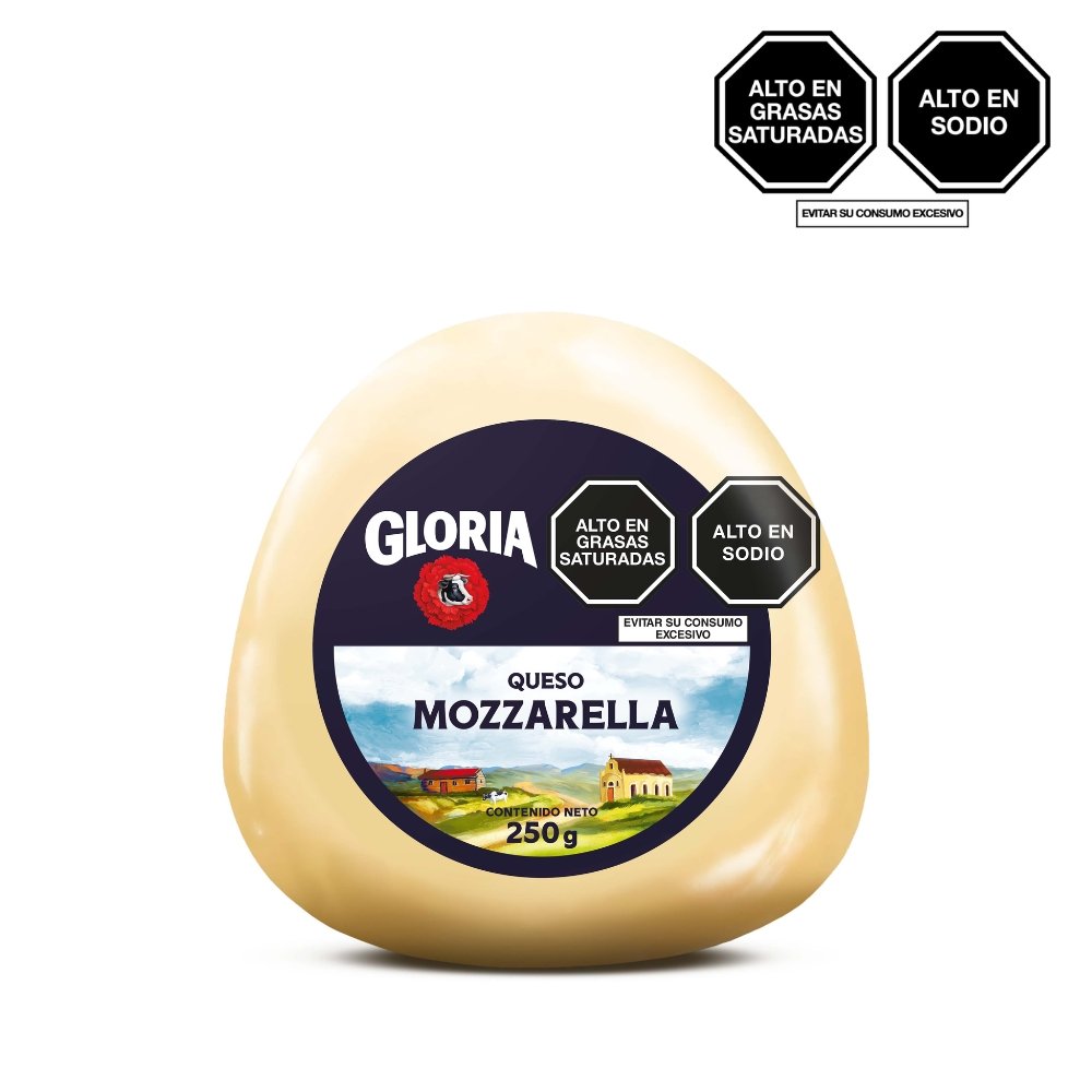 QUESO MOZZARELLA GLORIA X 250GR BOLA